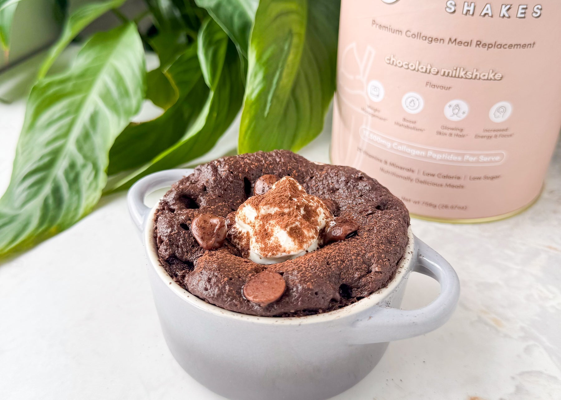 Chocolate Protein Mug Cake